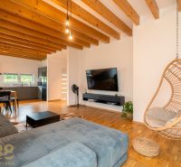 Living room in a 4-room apartment with a sofa, wood-patterned floor, and a hanging chair.