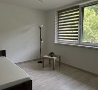 A minimalist room in a family house with a wood-patterned floor and a view of greenery.