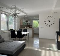 Living room in a family house with a fireplace, dining table, and stylish lighting.
