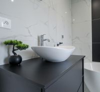 Bathroom of a family house with a sink, bonsai, and modern equipment.