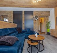 Living room with a blue sofa, wooden decor, and brick walls in a three-room apartment.