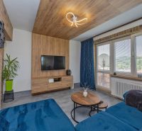 Living room in a 3-room apartment with a blue sofa and a wooden decor floor.