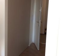 A hallway in a 2-room apartment with a wooden decor floor and open doors.