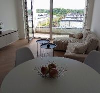 Living room in a two-room apartment with a wooden decor floor and a balcony.