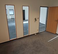 Offices with carpeted floors, a mirrored wall, and wooden doors.