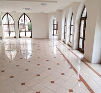 Interior of commercial spaces with arched windows and a glossy floor with decor.