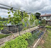 A family house in Chrabrany with a swimming pool, garden, and vine on a pergola.