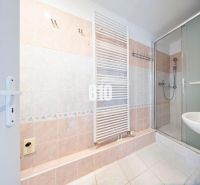 Bathroom in a 2-room apartment with a sink, shower corner, and ladder radiator.