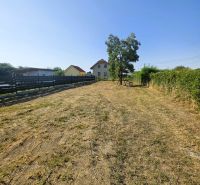 In a large garden in Čaňa, there is a family house surrounded by trees and a fence.