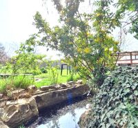 Garden in a family house on Štúrova Street in Ludanice with a pond and greenery.