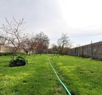 Garden at the family house on Štúrova Street in Ludanice with a lawn and trees.