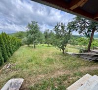 The garden of a family house in Ružiná with fruit trees and a hedge.