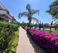 A resort in Agia Eirini with a pool and a flower-lined walkway.
