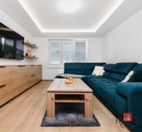 Living room in a two-room apartment with a blue sofa and a wooden decor floor.