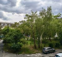 Trees and parked cars on Miletičova Street in Bratislava, Ružinov, under a cloudy sky.