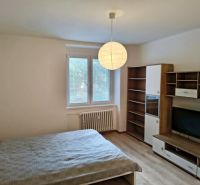 Interior of a 1-room apartment with a bed, furniture, and a wooden decor floor.