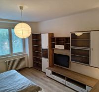 A studio apartment with a wood-patterned floor, furniture, and a large window.