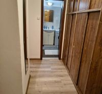 A narrow entrance area with a wooden decor floor and built-in wardrobes in a studio apartment.