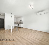 A bright kitchen interior in a two-room apartment with a wooden decor floor.