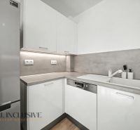 Kitchen section in a 2-room apartment with white cabinets and a wooden decor floor.