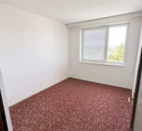 A room in a three-room apartment with a carpeted floor and a large window.