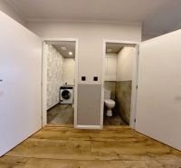 Hallway and bathroom in a 3-room apartment with a wooden decor floor.