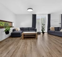 Living room in a family house with grey sofas, a plant, and a wooden decor floor.