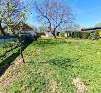 The garden of a family house in Tehla with a lawn and trees on a sunny street in Tehla.