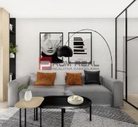 Living room in a two-room apartment with a sofa, decorations, and a wooden-patterned floor.