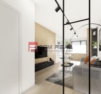 2-room apartment with wood-patterned flooring, view of the living room and kitchen.