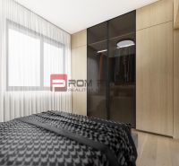 Bedroom with a large wardrobe, bed, and wooden decor flooring in a 2-room apartment.