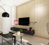 Living room with wood-patterned flooring in a 2-room apartment, black armchair and table.