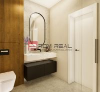 Bathroom in a 4-room apartment with a wall-mounted toilet, mirror, and floor with wood decor.