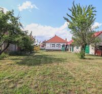 A plot of land near a family house in Borský Mikuláš with a lawn and fruit trees.