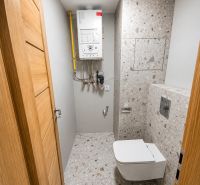 Bathroom in a 2-room apartment with a terrazzo floor and a wall-mounted toilet.