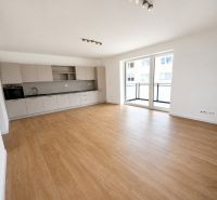 Spacious kitchen with wood-patterned flooring in a 2-room apartment.