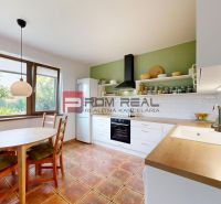 A kitchen in a family house with ceramic tiles and a green wall, view into the garden.