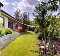 A garden at a family house in Hrubý Šúr with a lawn and green shrubs.