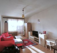 Living room in a two-room apartment with a red sofa and a wooden decor floor.