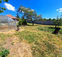 Garden behind the family house in Jasová on Jasová Street with a greenhouse and trees.
