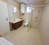 Bathroom in a family house with a sink, shower, and toilet.