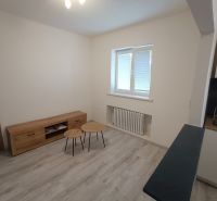 Living room in a two-room apartment with a wooden decor floor and furniture.