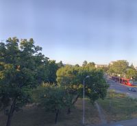 View of trees and a road with a red tram in Bratislava - Nové Mesto, Nám. Biely Kríž.