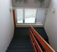 A staircase with carpet and railing, with curtains and floral decorations on the windows.
