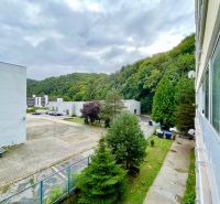 View from a 2-room apartment on K výstavisku street with trees and buildings in the background.