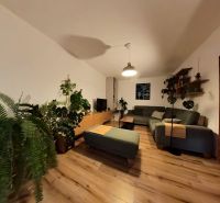 Living room in a 4-room apartment with plants, wood-patterned flooring, and a comfortable couch.