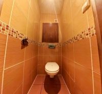 A toilet with brown tiles in a 4-room apartment.