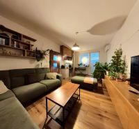 Living room in a 4-room apartment with wood-patterned flooring, plants, and a sofa.