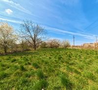 Lužianky, Korytovská: Greenery, trees, and blue sky on commercial properties.