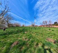 A grassy plot on Korytovska Street in Lužianky with fruit trees, suitable for commercial use.